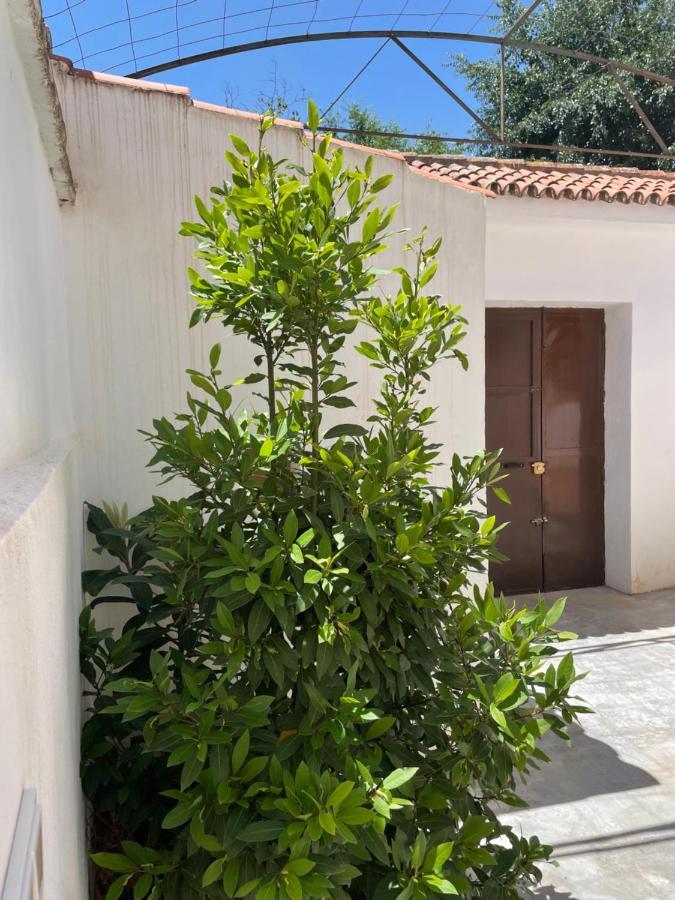 غرناطة La Casita De San Nicolas المظهر الخارجي الصورة